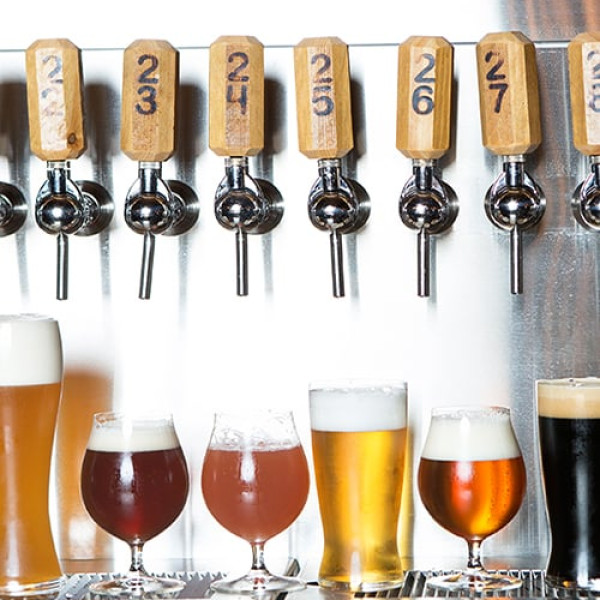 15 Best Breweries in Charleston