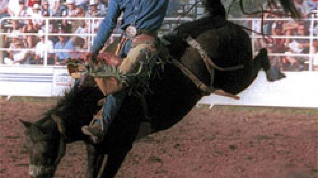Moncks Corner Professional Rodeo at Berkeley County Fairgrounds