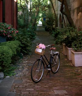 Exterior Bike Photograph